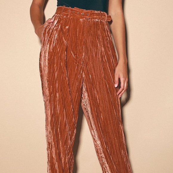 WAYF Velvet High-Waisted pant rust colored Trouser Pant XS - Picture 3 of 16